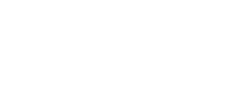 에어라인 플라이트