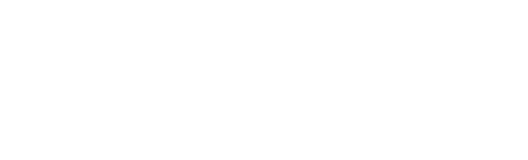 고독한 늑대의 피: 레벨 2