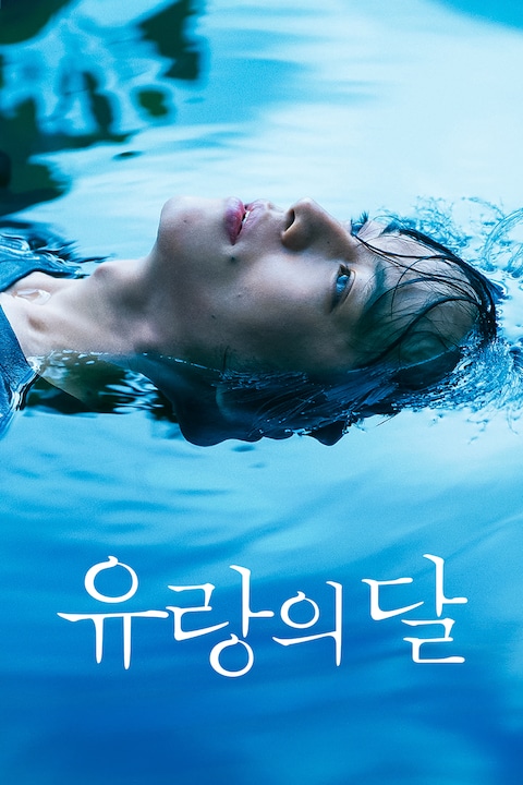 유랑의 달