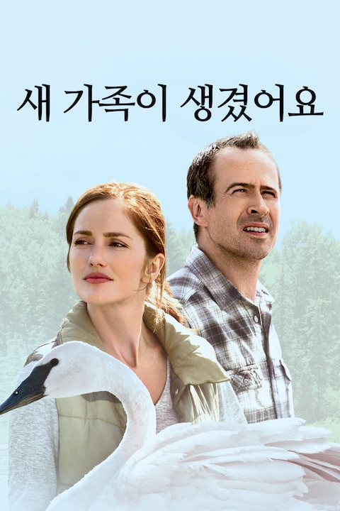 새 가족이 생겼어요