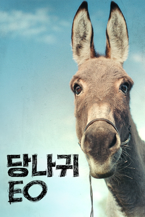 당나귀 EO