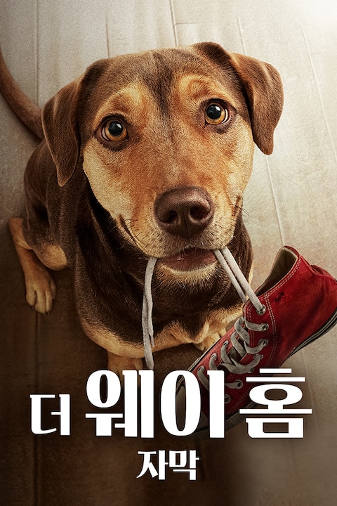 더 웨이 홈 (자막)