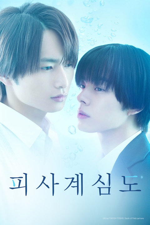 피사계심도