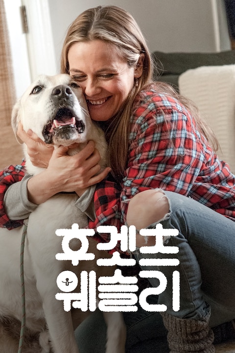 후겟츠 웨슬리
