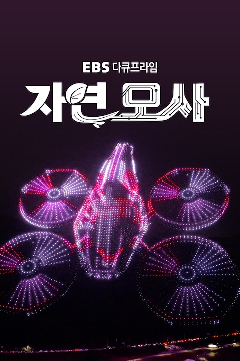 자연모사 | 다큐프라임