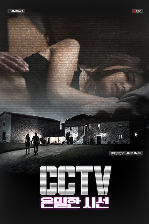 CCTV: 은밀한 시선