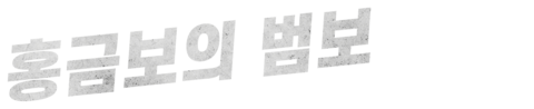 홍금보의 범보