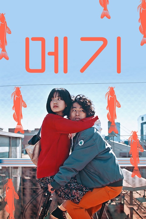 메기
