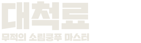 대척료: 무적의 소림쿵푸 마스터