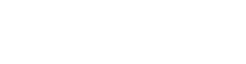 비광