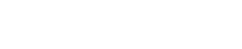 아이스 프린세스