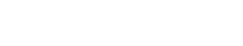 장군의 딸