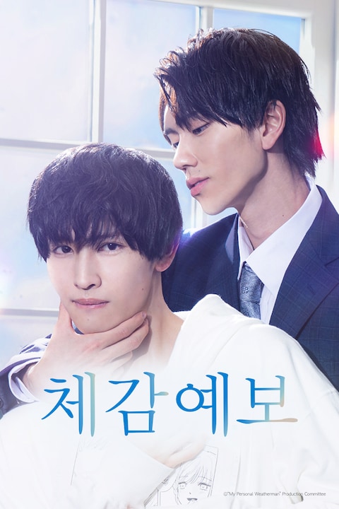 체감예보