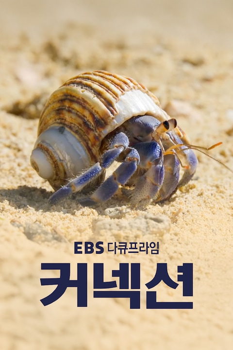 커넥션 | 다큐프라임