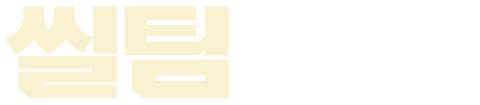 씰 팀