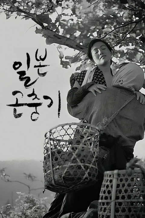일본 곤충기