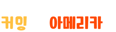 커밍 프롬 아메리카