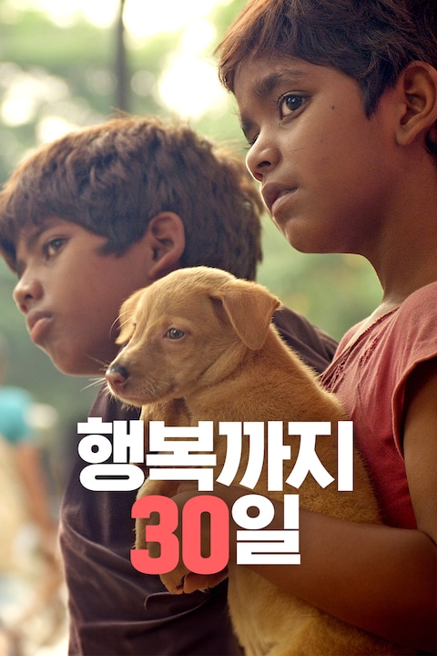 행복까지 30일