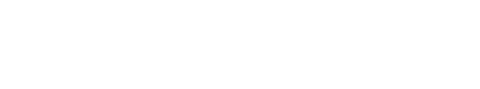 더 노비스
