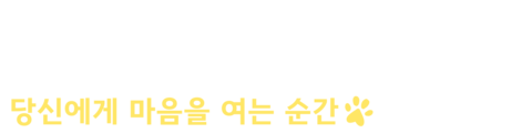 고양이키스: 당신에게 마음을 여는 순간