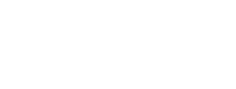 봄날의 곰을 좋아하세요?