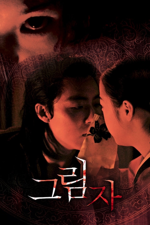 그림자