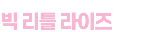 빅 리틀 라이즈