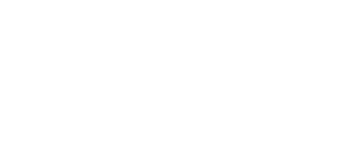 미국의 무게