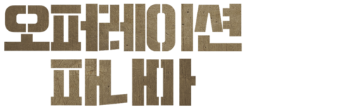 오퍼레이션 파나마