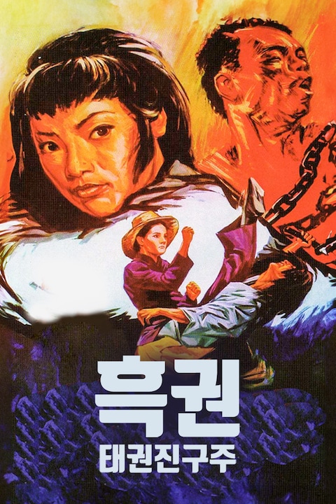 흑권: 태권진구주