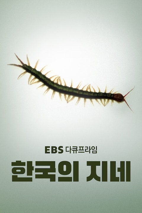 한국의 지네 | 다큐프라임