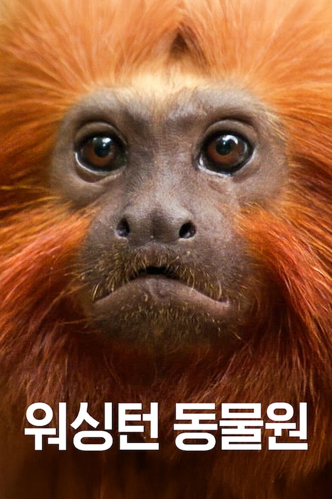 워싱턴 동물원