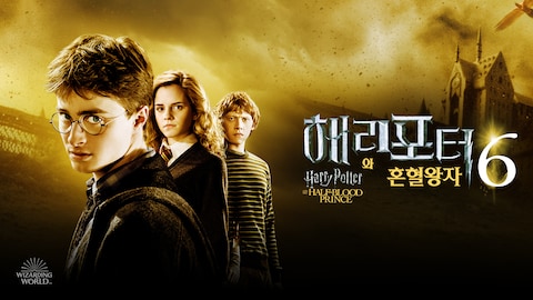 해리 포터와 혼혈 왕자