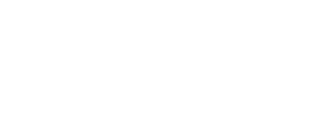 래시: 뉴 어드벤처