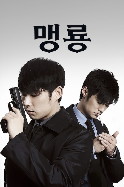 맹룡