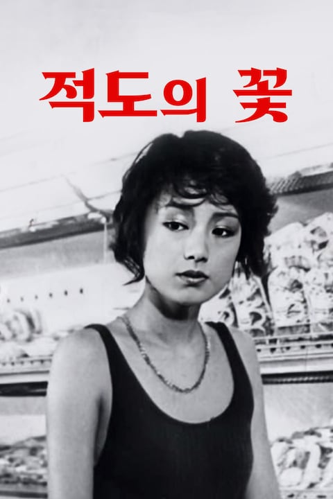 적도의 꽃
