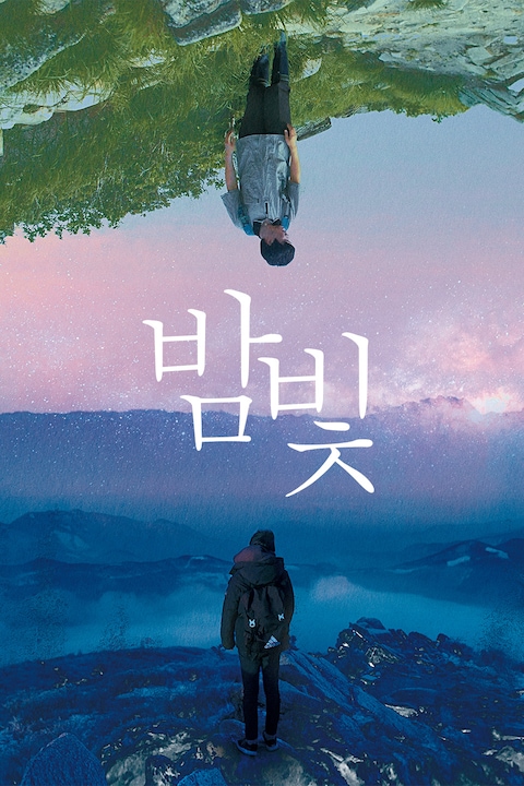 밤빛