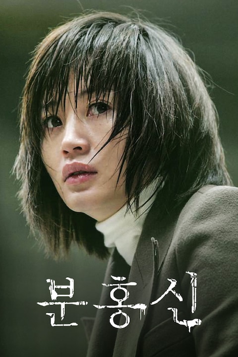분홍신 (2005)