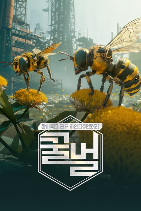 창사특집 SF 자연다큐멘터리 꿀벌 | 다큐프라임